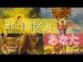 🎠あなたが主役🎪 半年後の私はどうなってる？一体何してる？🌞 未来のあなたからお告げもあるよ🦁 [女神のタロット・オラクルリーディング]