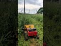 #helpmemakethismakesense #helpmemakethismakesense #theothersideofmakebelieve #farming #lawn
