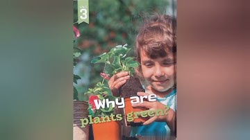 منهج الصف الرابع الجديد الوحدة الثالثة  بطريقة سهلة ( الجزء الأول ) Connect 4, Unit 3, Part 1