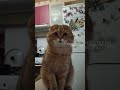Кракен желает познакомиться