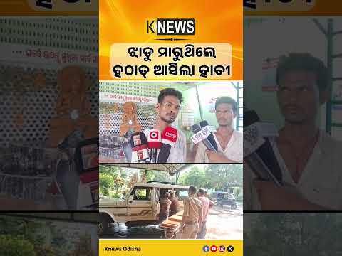 ସକାଳୁ ସକାଳୁ ହାତୀ ଆକ୍ରମଣ, ହିନ୍ଦୋଳ ଡାକ୍ତରଖାନାରେ ଦୁଇ ମହିଳା ଭର୍ତ୍ତି