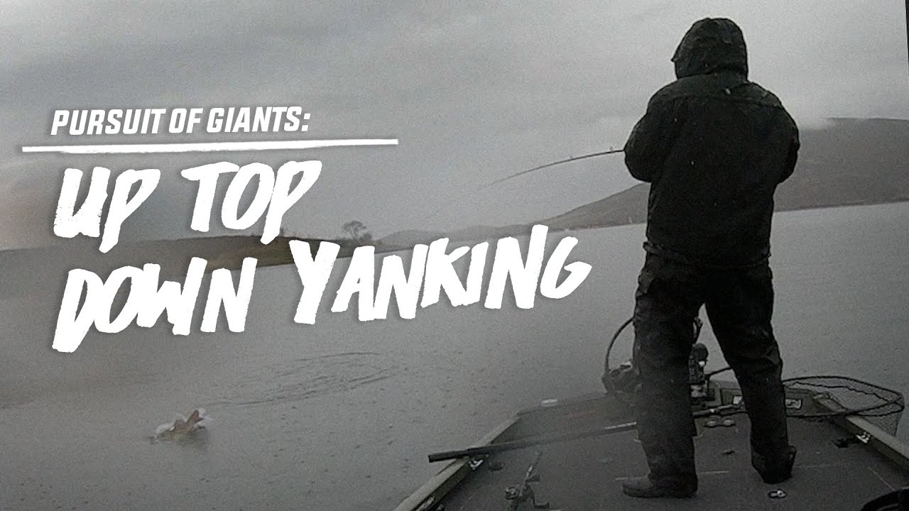 Pursuit of Giants | Up Top Down Yanking - YouTube