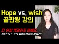 Hope vs. wish 끝판왕 강의. 더 이상 헷갈리지 마세요. (뉘앙스 차이부터 활용법까지 총정리!)