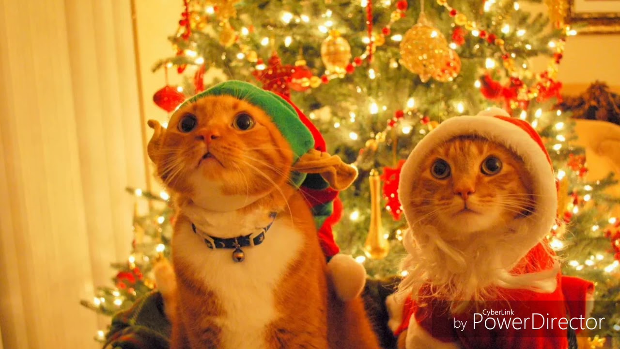 Песня „Джингл белс” - YouTube