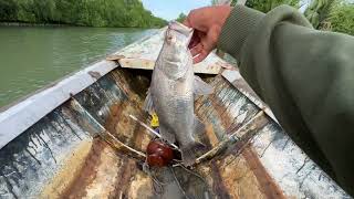 Download Lagu fishing for expensive fish in the estuary of a large river #expensivefish #fishingattheestuary #f... MP3