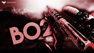 BO2 Quick Sniper Montage - Pr3vise