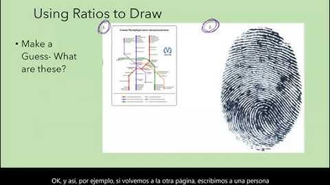 Grade 7 Module 1 Lesson 16 Guided Notes