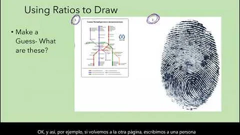 Grade 7 Module 1 Lesson 16 Guided Notes