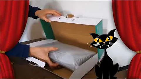 Chi ha inventato il lettore DVD?