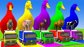 Download Lagu Long Slide Game With Cow Elephant Gorilla Hippopotamus Tiger 3d Animal Game Funny 3d Animals MP3