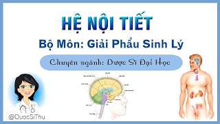 Giải Phẩu Hệ Nội Tiết - Bài Giảng Sinh Lý - Chuyên ngành Dược Sĩ Đại Học Giải Phẩu Hệ Nội Tiết - Bài Giảng Sinh Lý - Chuyên ngành Dược Sĩ Đại Học