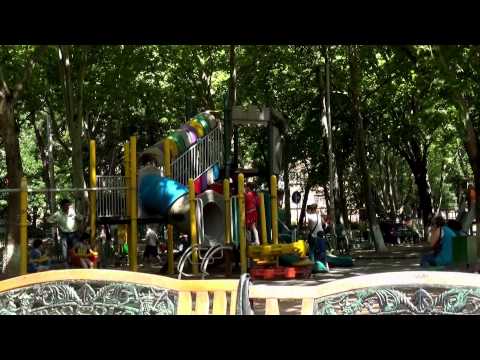 პოზიტიური დღე, დიღომში