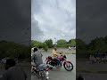 Wild Eagles