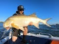 INSANE BRISBANE RIVER THREADFIN SALMON SESSION