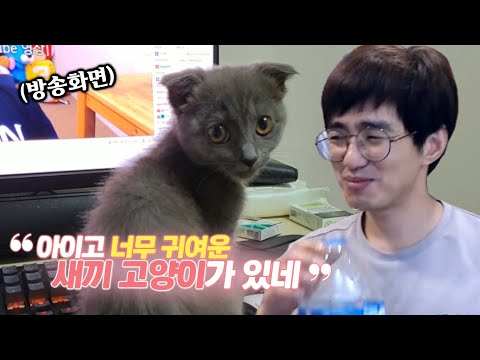 [케인] 아무거나 인증하기 1부 200803