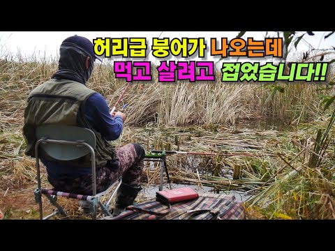 부들구멍속 <strong>대물</strong> 붕어낚시