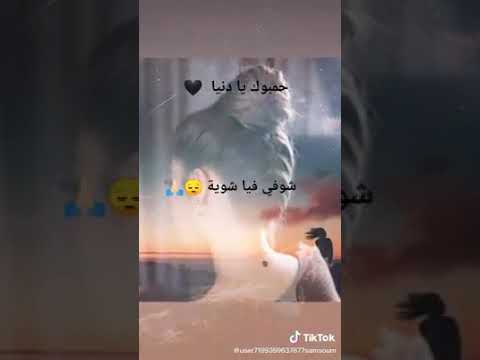 حمبوك يا دنيا شوفي فيا شوية