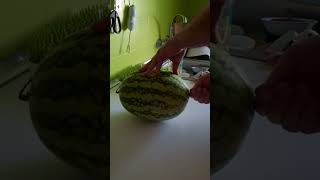 Como Abrir Sandía Con Un Palillo. Open Watermelon With Wooden Stick