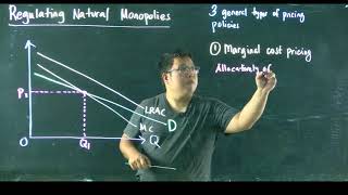 regulating monopolies