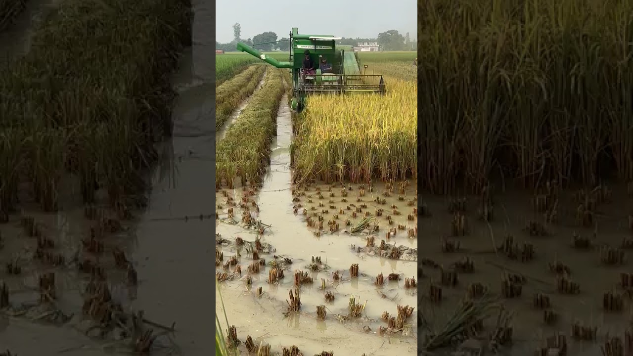 super standard mini combine harvester 