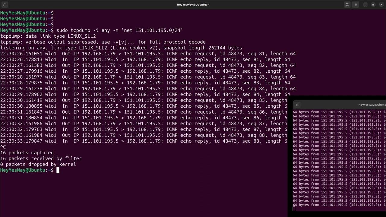 Отменить make install. Linux команда update. Linux команда update. Sudo. Apt linux.