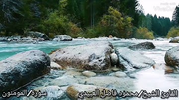 القارئ الشيخ /محمود فاضل العبيدي                 سورة /المؤمنون