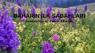 BAHARIN İLK SABAHLARI-Orhan Veli KANIK-Seslendiren: Zafer AKKOL(Abone Ol)