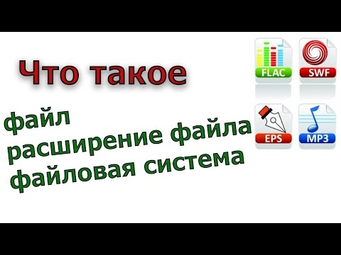 Что такое файл, расширение файлов, файловая система компьютера