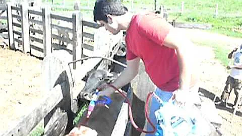 Como usar o Topline?