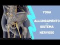 Yoga e Allungamento del Sistema Nervoso