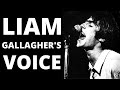 LIAM GALLAGHER'S VOICE: How he discovered a new sound and how he lost it