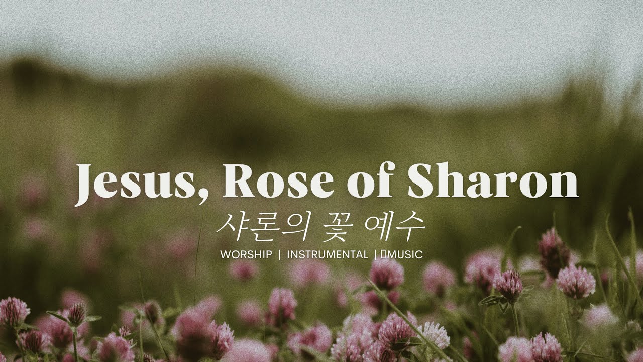 [1Hour] 샤론의 꽃 예수 | Jesus, Rose of Sharon | Piano instrumental worship ...