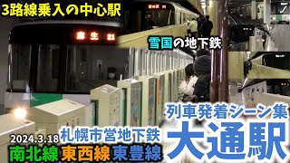 【札幌市営地下鉄】大通駅列車発着シーン集[札幌市営地下鉄,南北線,東西線,東豊線](2024.3.18)