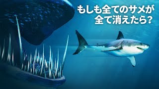 世界中のサメが突然姿を消したら?