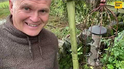 Stop Bigger Birds Clearing Out Your Feeders