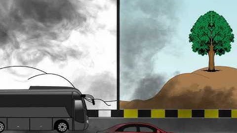 Grow Trees to save Future