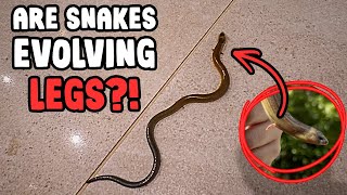 This is NOT What We Expected to Find...