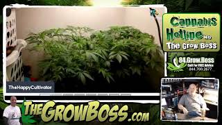 The Happy Cultivator garden review 6-25-2022-- Most Epic Cola shaping video part-1