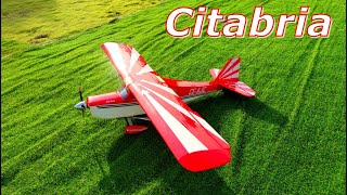 Rc Scale Citabria / Decathlon 67