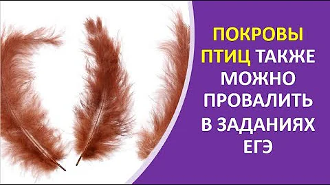 22. Покровы птиц также можно провалить в заданиях ЕГЭ