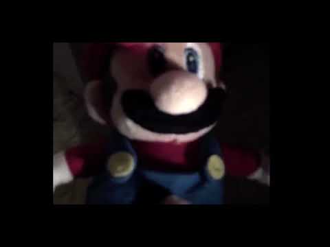 WE GOT 1,000,000 SUBSCRIBERS! ( Reuploaded )