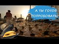 Паэлья с морепродуктами на побережье Атлантического океана. А ты готов попробовать?