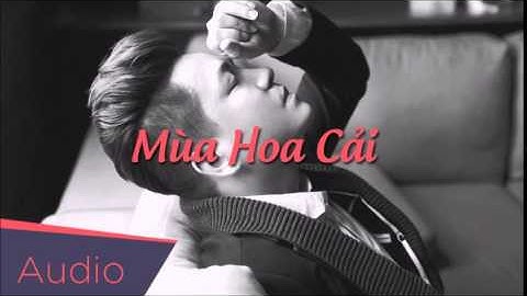 Mùa Hoa Cải (Audio) | Nam Du Official