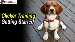 Celebrity Getting Started with Clicker Training for Dogs Profile