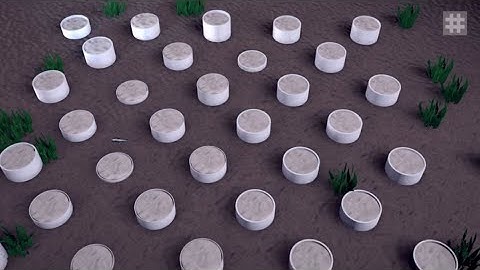 Animation Ringtrac® Kirsehir EN