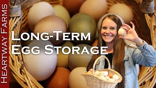 How to Water Glass Eggs | Shelf Stable Long-Term Egg Storage | Storing Eggs | Liming Eggs Preserving Eggs For The Pantry Oiled Eggs On The Shelf Food Storage
