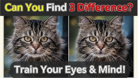 Test Your Brain! Only Sharp Eyes Can Find These Cat Differences