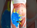 ميشيل فتحي ما بعد عمليات التجميل