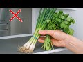Stop putting cilantro and herbs straight in the fridge! 5 ways to preserve them for weeks| Click DIY