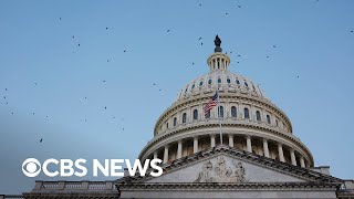These are some of the new lawmakers joining Congress